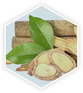 Tongkat Ali ingredient in ProstaVive for male vitality